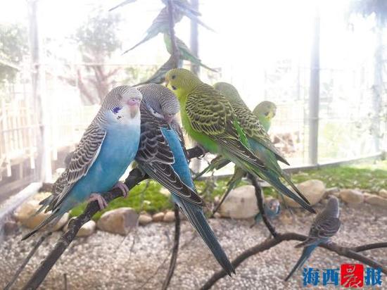 新景点生态园月底迎客 漂亮"小伙伴"入驻园博苑
