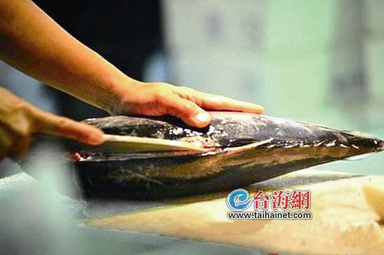 厦门一市民杀鱼被鱼刺扎 感染致命病菌险丧命