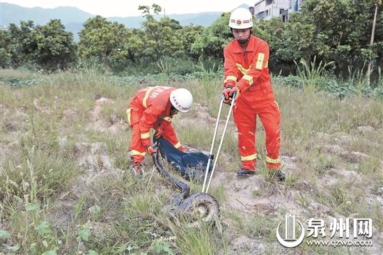 消防官兵捕蛇