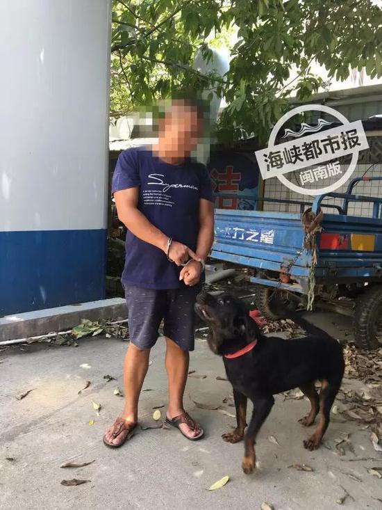 昨日,庄某因涉嫌盗窃7只价值近4万元的各类名犬被台商投资区秀涂边防派出所抓获。
