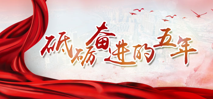 罗源高效“治违” 年内处置违法建设28.07万平方米