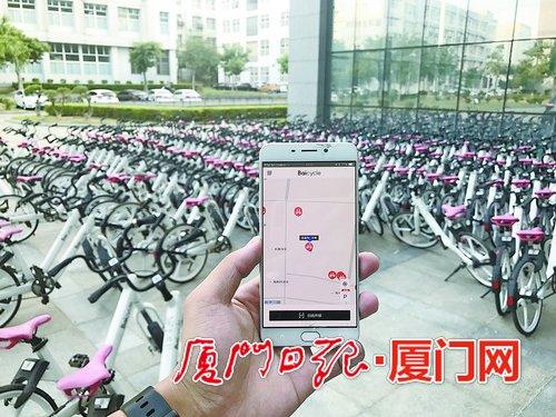 在同安区湖里园42号,眼前有400多辆,共享单车 App却只显示一辆。