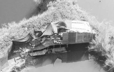 南安市区罗马家园水塘变都市养鸭场