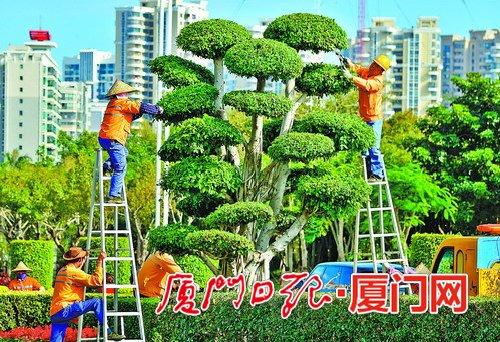 开展绿化提升,服务城市发展