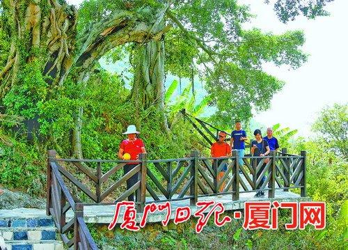“亲情树”旁建有人行步道