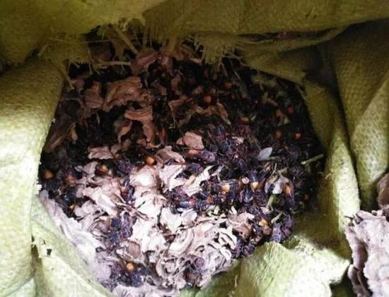 马蜂窝怎么处理干净 OCbI-fymvuyt0352710.jpg