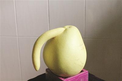  黄水成黄茂林摄影报