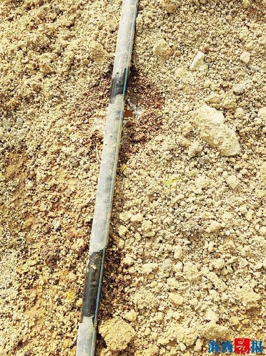 厦门遭遇夏秋连旱达气象特旱标准 同安翔安纷