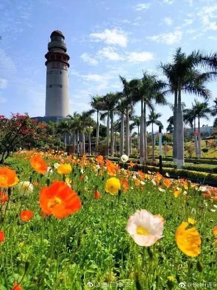 图片来源:厦门旅发委