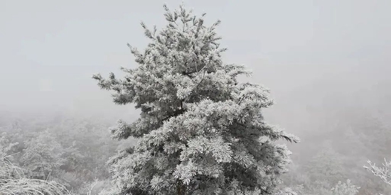 福建下雪啦！多地高海拔地区出现雾凇美景