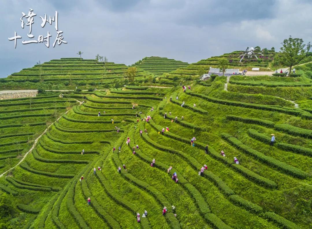 高峰生态园