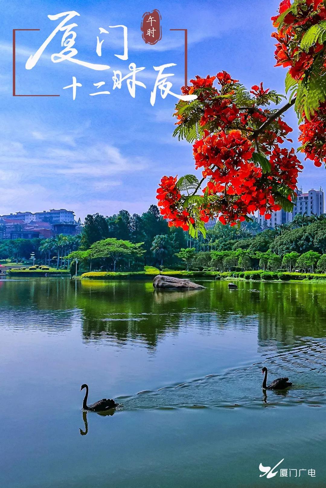 图/广电拍客陈瑞坤