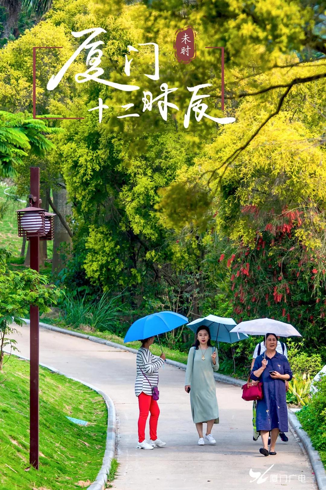 图/广电拍客陈瑞坤
