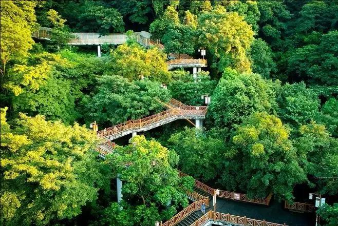 莲花山栈道