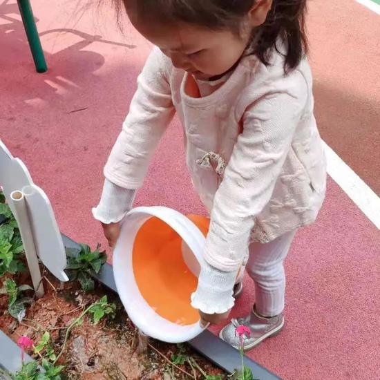 小小志愿者参与植树浇花