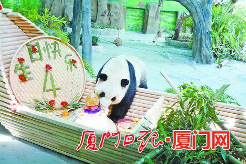 “思筠筠”准备大饱口福。(本组图/本报记者 林桂桢 摄)
