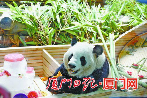 “思念”捧起南瓜就啃。