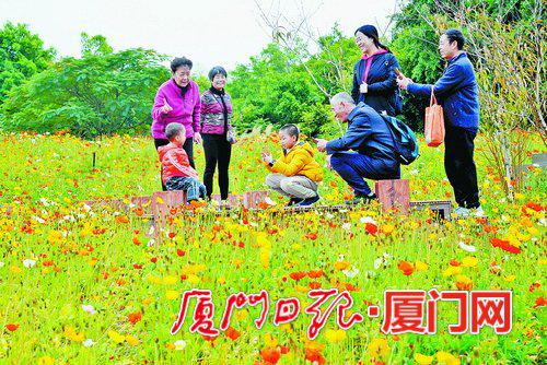 昨日,在园博苑里,一家人在花海里欢笑留影。(本报记者 黄晓珍 摄)