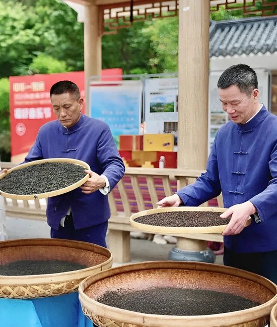 非遗代表性传承人在制作坦洋工夫茶（图源：福建日报）