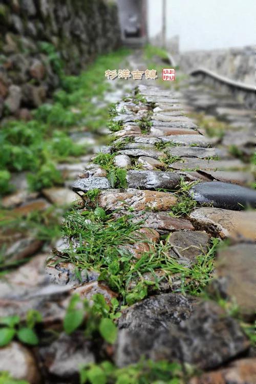图片来源:@傻猪猪的窝