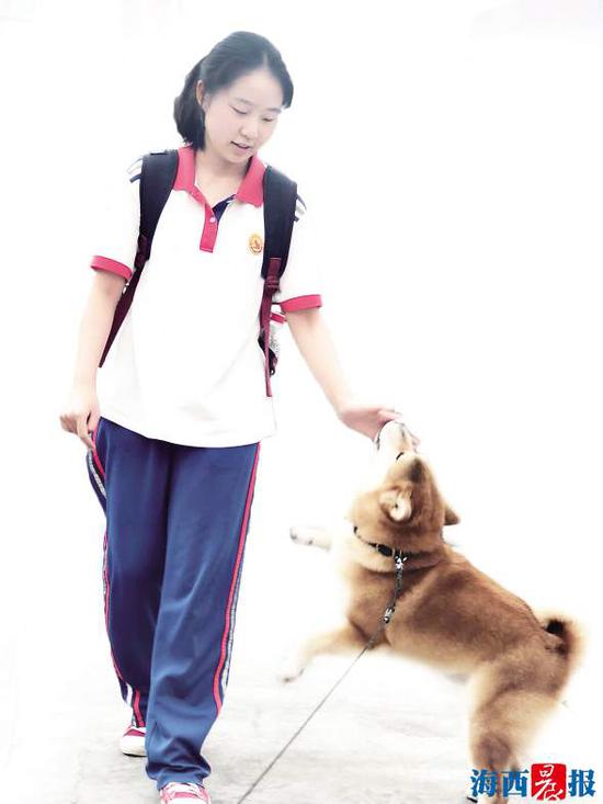 高考结束后,等待已久的狗狗终于接到它的小主人啦。记者 张薇 摄