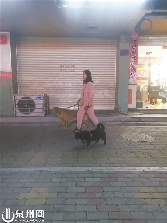 夜间出来牵绳遛狗的市民(庄丽祥 摄)