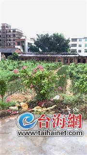 ▲校门右边出来就是一块菜地,道路建到这里搁浅了