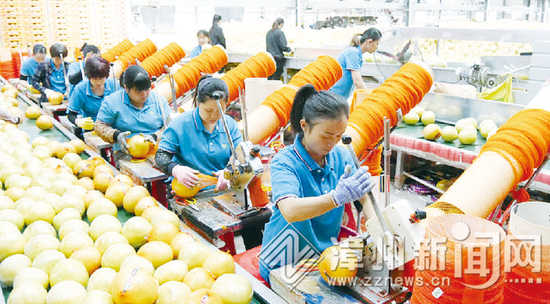 三绿果蔬蜜柚加工厂内工人正在包装蜜柚准备出口