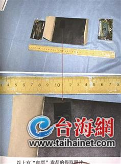 ▲“邮票”的大小和厚度就像一枚邮票