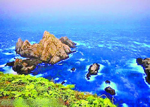 美丽的“蓝眼泪”实际上是浮游生物夜光藻。