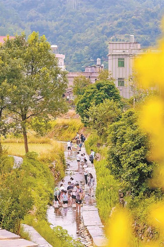深藏莲花镇山谷密林中的上陵村,宛如世外桃源。 (稻香上陵 供图)