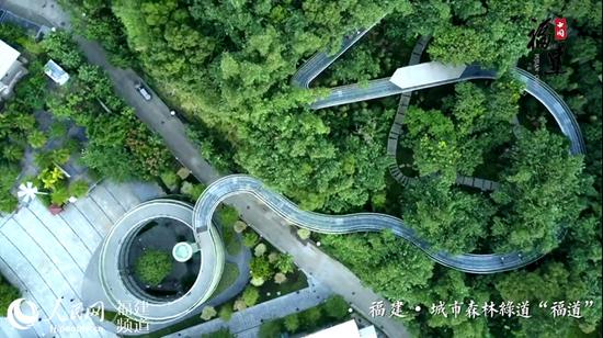 福建拥有中国“第一长”的空中森林步道,全线总长19公里