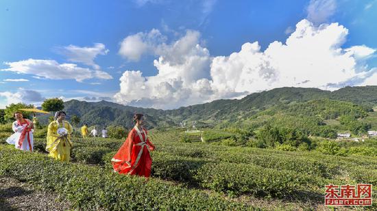 在南靖县书洋镇高山茶园上,村民和游客自编自导汉服秀、旗袍秀。