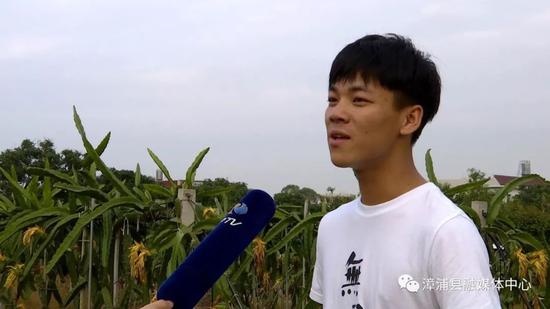 佛昙几个人口_佛昙图片(3)