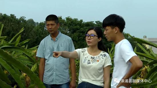 佛昙几个人口_佛昙图片(3)