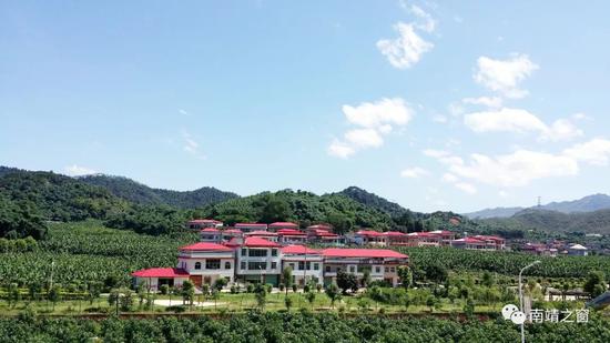 ▲龙山镇坪埔村一角。坪埔村 供图