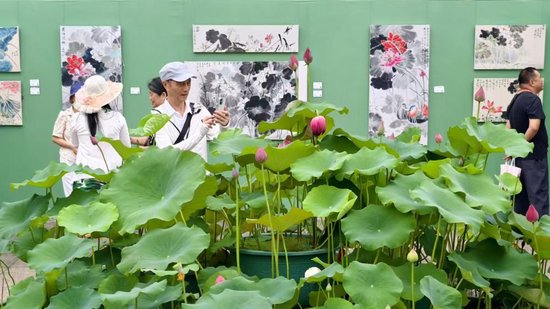 市民游客在福州茶亭公园荷香戏台参观“荷香墨韵”荷花主题画展。