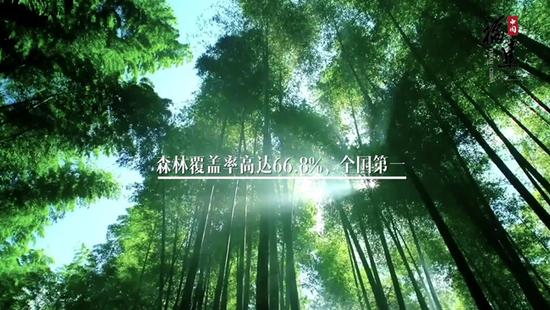福建森林覆盖率达66.8%,连续40年全国第一