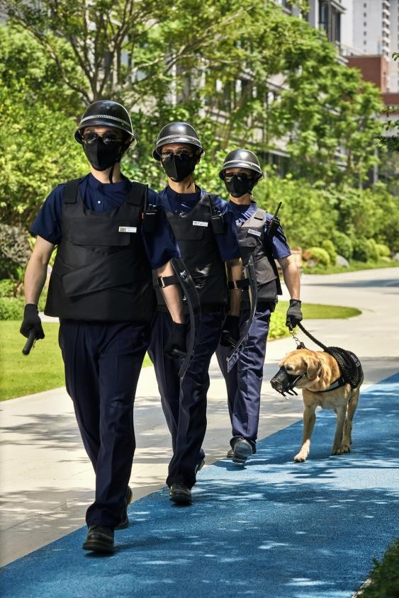 维序队携巡逻犬巡查