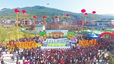 一年一度的水仙茶大会是当地农民最大的盛会。
