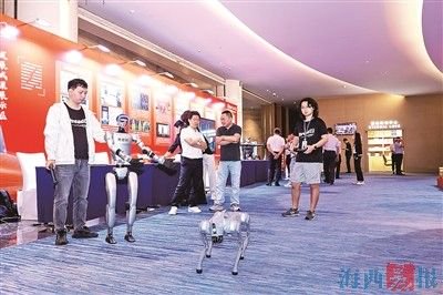 “潮起湖里·爱拼敢赢”2025厦门企业家日湖里专场活动举行