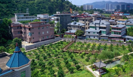湖里村风光。陈建国 摄
