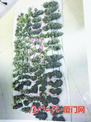 ▲民警在王某住处缴获的大麻。