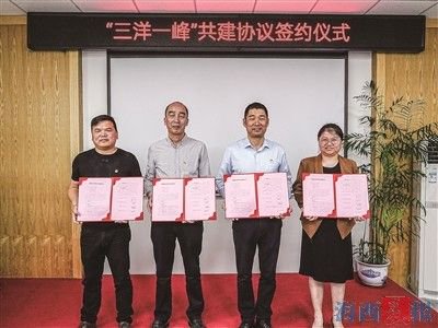 田洋村联合五峰村、莲花镇云洋村和水洋村，建立“三洋一峰”跨村联建发展联盟。
