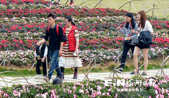 游客文明赏花。记者 池远 摄