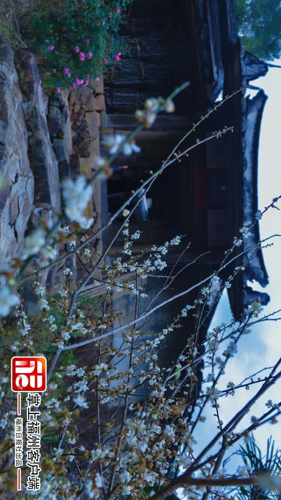 谷贻堂（陈暖 摄）