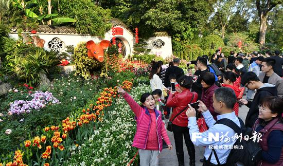 西湖公园鲜花盛放、春意盎然。记者 黄立新 摄
