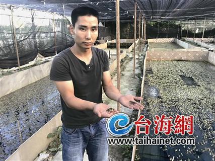 卖还是不卖?