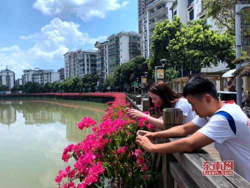 市民在河岸边给花拍照