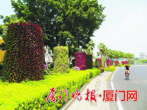 ■鹭江道彩化布置。